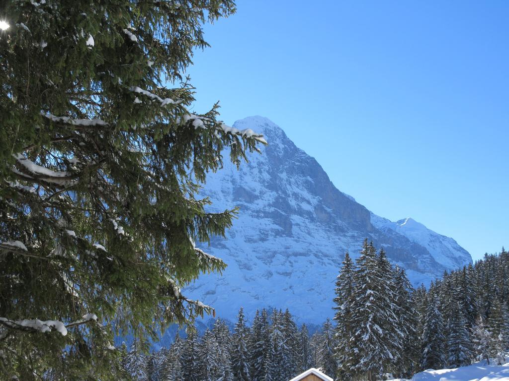 Chalet Casita